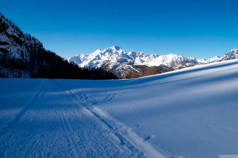 Campo Moro, rifugio Cristina