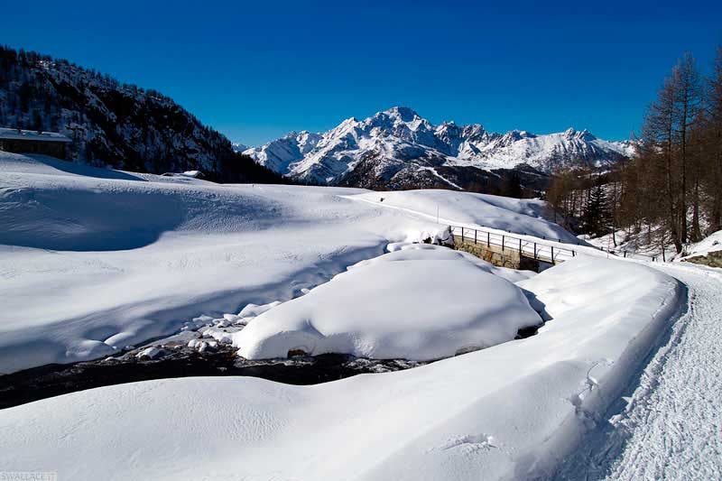 Campo Moro, rifugio Cristina