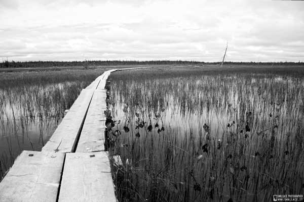 002_itinerario_in_macchina_da_milano_a_caponord_attraversando_svezia_finlandia_norvegia