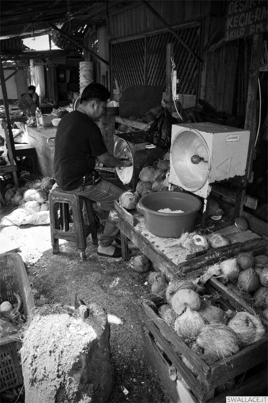 foto itinerario viaggio in Malesia, Borneo, Sabah, Sipadan, isole Perhentian