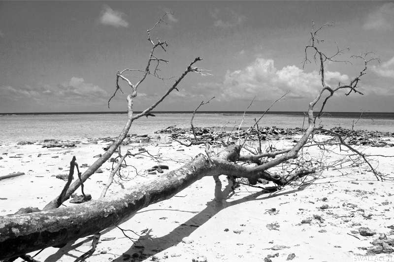 foto itinerario viaggio in Malesia, Borneo, Sabah, Sipadan, isole Perhentian