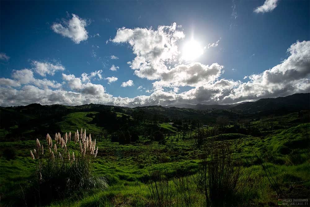 foto itinerario viaggio in Nuova Zelanda del nord