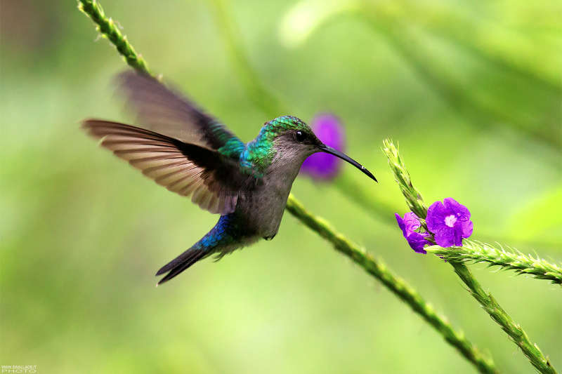 foto itinerario viaggio in peru