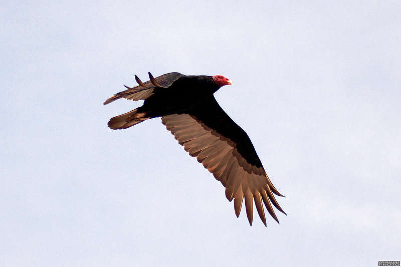 foto itinerario viaggio in peru