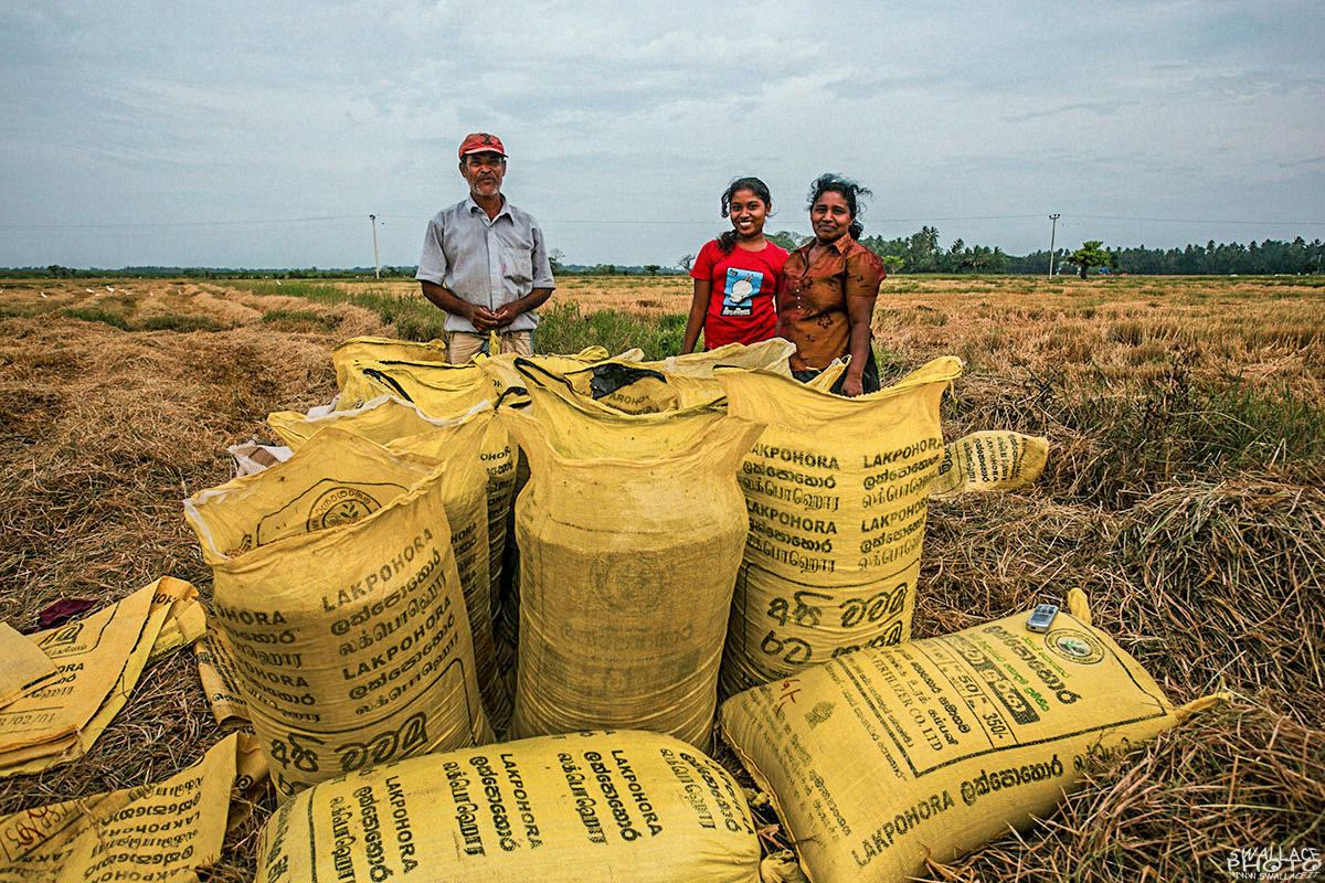 family_worker_srilanka