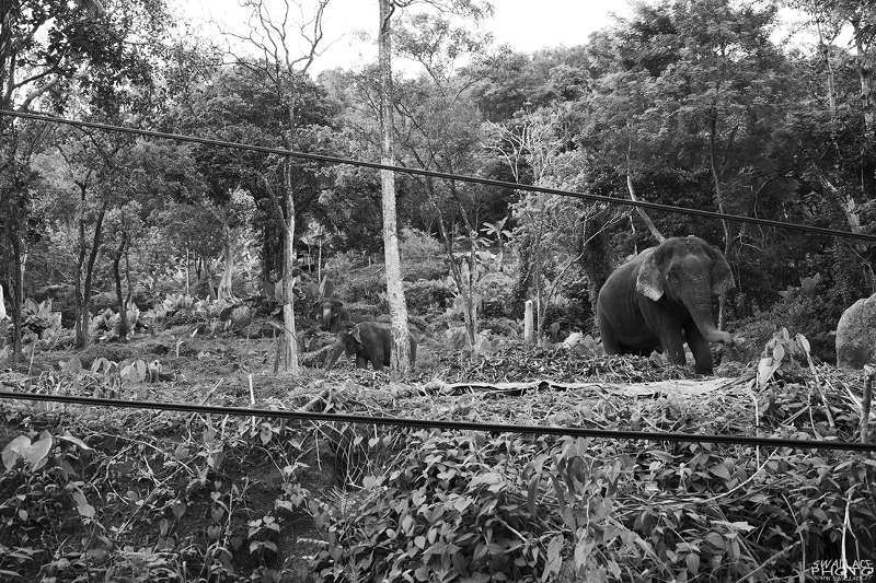 foto itinerario viaggio in Thailandia