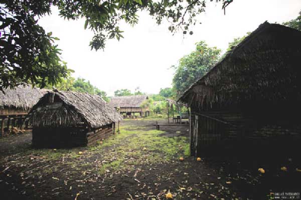 vanuatu ambrym