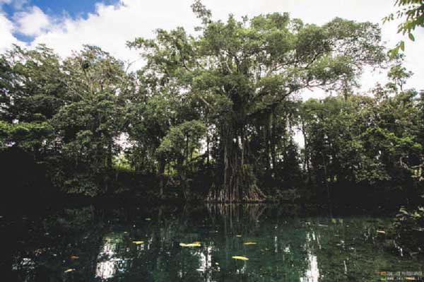 vanuatu espiritu santo