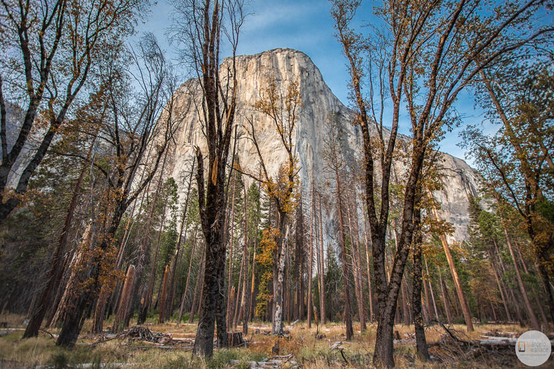 california, yosemite national park