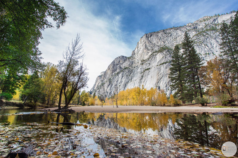 california, yosemite national park