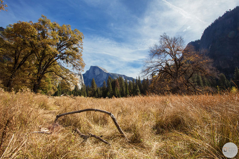 california, yosemite national park