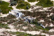 Australia - Kangaroo Island - Seal Bay