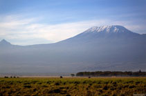 kenya 2011