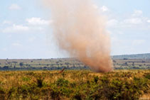 Viaggio_in_Kenya_2011, giraffa