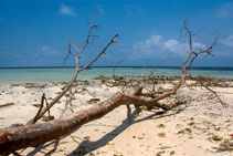 Sipadan Island
