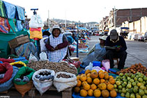 Puno Ritratto